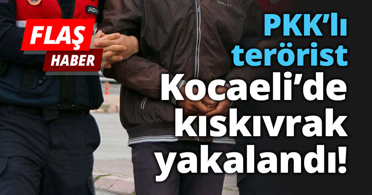 PKK’lı terörist Kocaeli’de kıskıvrak yakalandı!