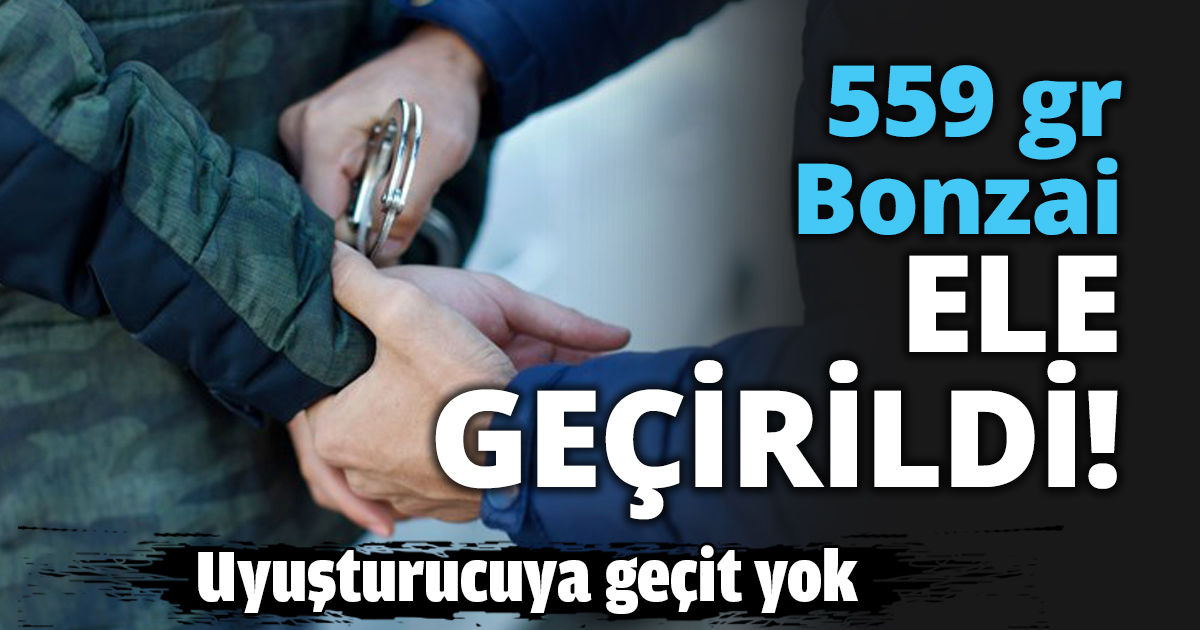 559 gr Bonzai ele geçirildi!