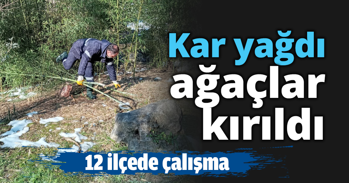 Kar yağdı ağaçlar kırıldı