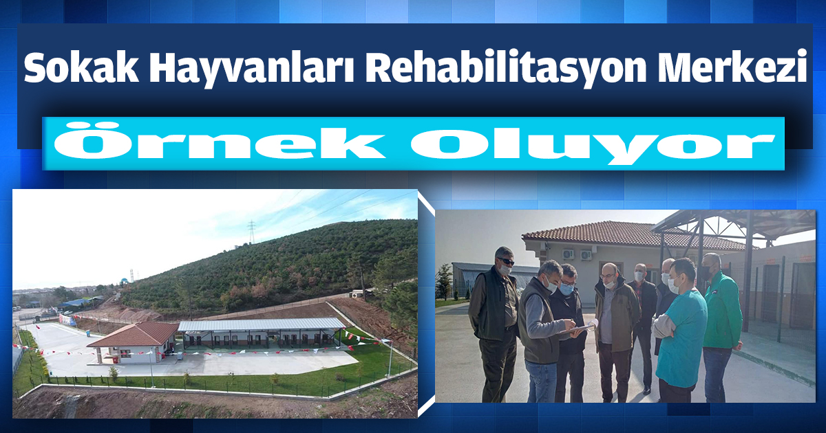 Sokak Hayvanları Rehabilitasyon Merkezi Örnek Oluyor