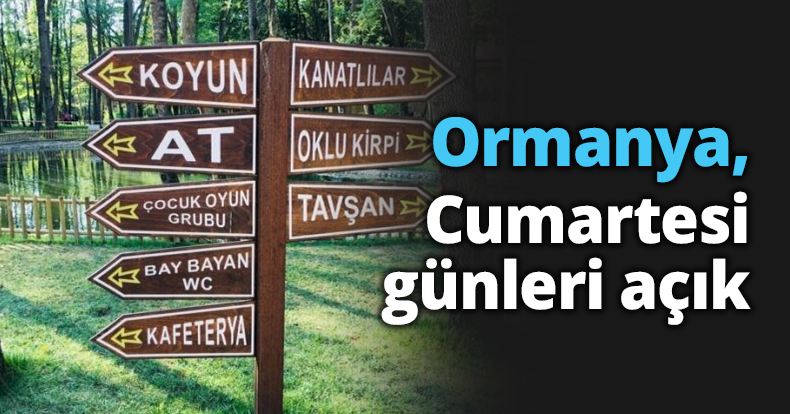 Ormanya, Cumartesi günleri açık