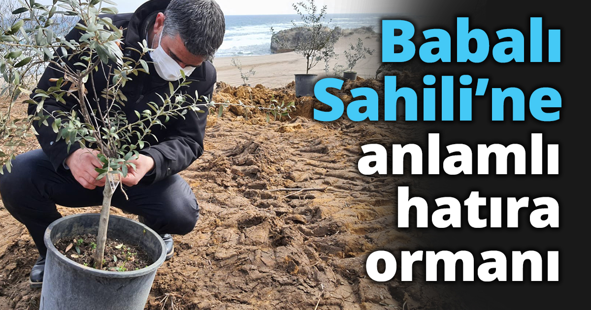 Babalı Sahili’ne anlamlı hatıra ormanı