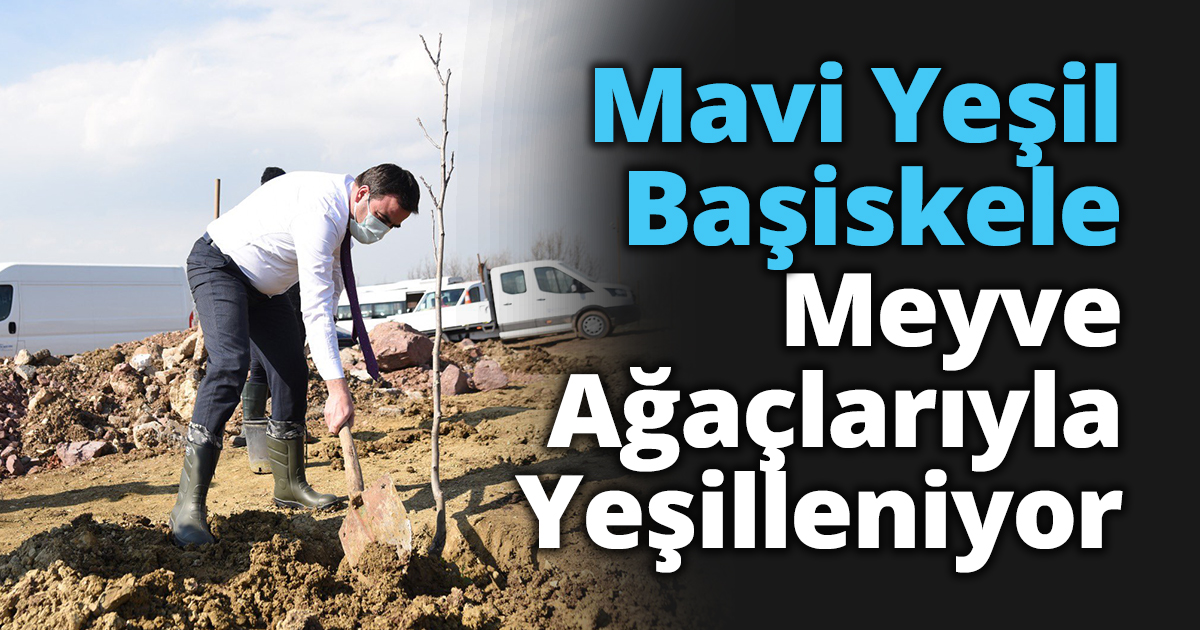 Mavi Yeşil Başiskele Meyve Ağaçlarıyla Yeşilleniyor
