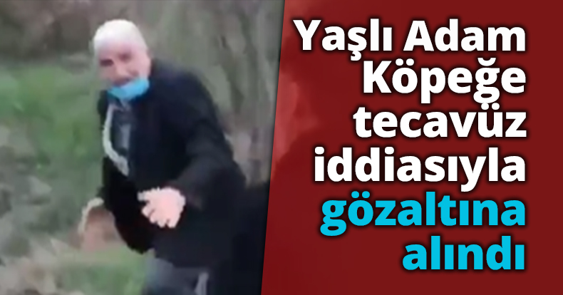 Yaşlı adam, Köpeğe tecavüz iddiasıyla gözaltına alındı
