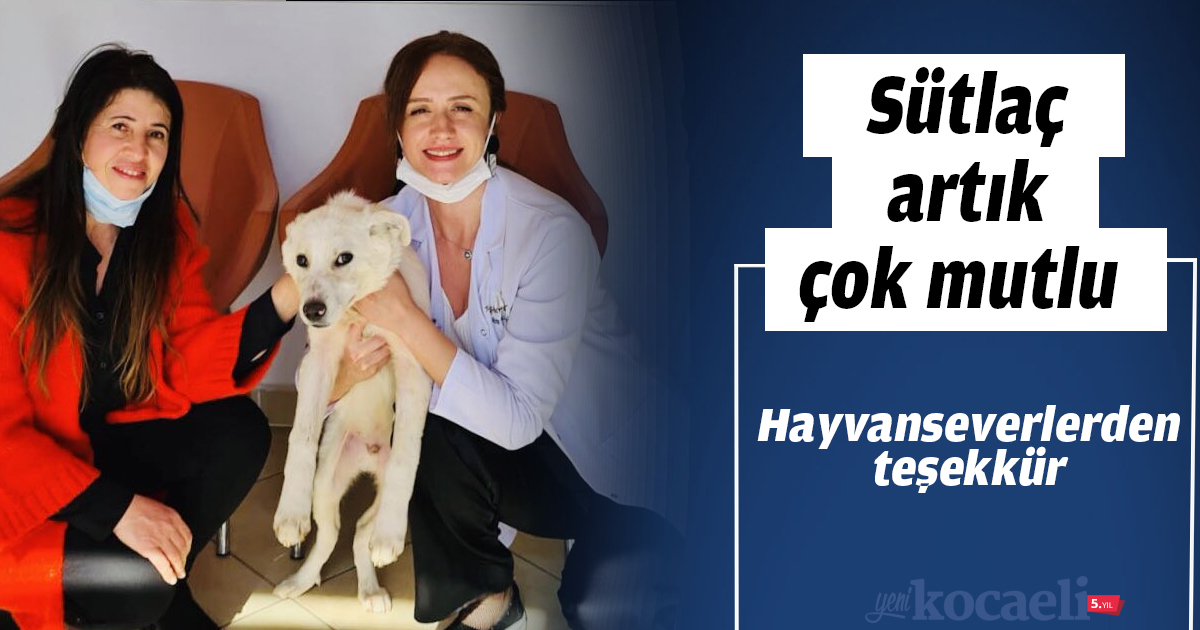 Sütlaç artık çok mutlu