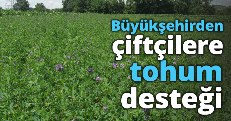 Büyükşehirden çiftçilere tohum desteği