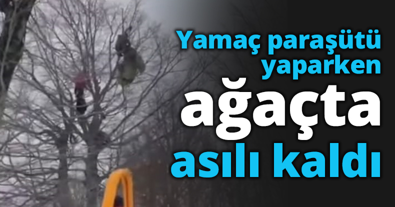 Yamaç paraşütü yaparken ağaçta asılı kaldı
