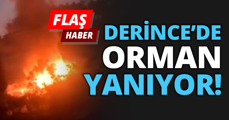 Derince'de ormanda yangın çıktı