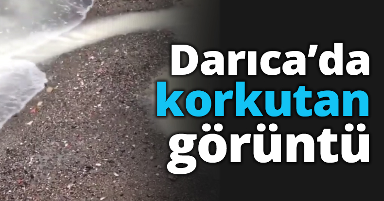 Darıca’da korkutan görüntü