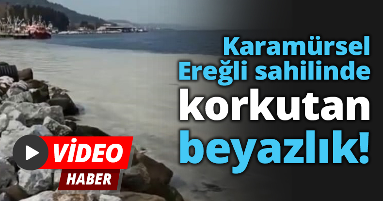 Karamürsel Ereğli sahilinde korkutan beyazlık!