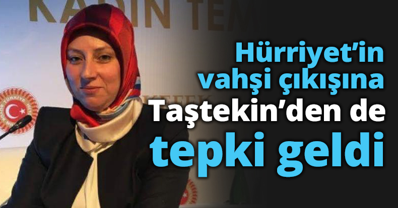 Hürriyet’in vahşi çıkışına Taştekin’den de tepki geldi