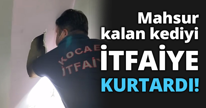 Mahsur kalan kediyi itfaiye kurtardı