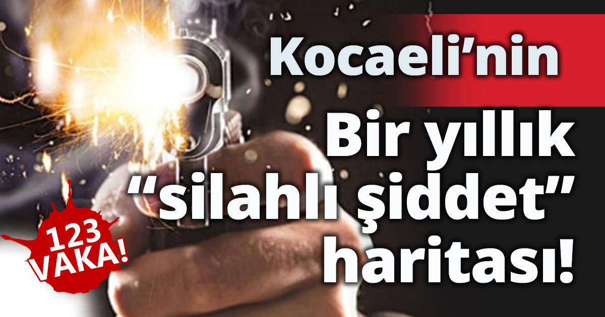İşte Kocaeli’nin bir yıllık şiddet haritası!