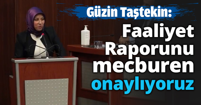 Güzin Taştekin: Faaliyet Raporunu mecburen onaylıyoruz