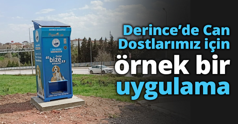 Derince’de Can Dostlarımız için örnek bir uygulama