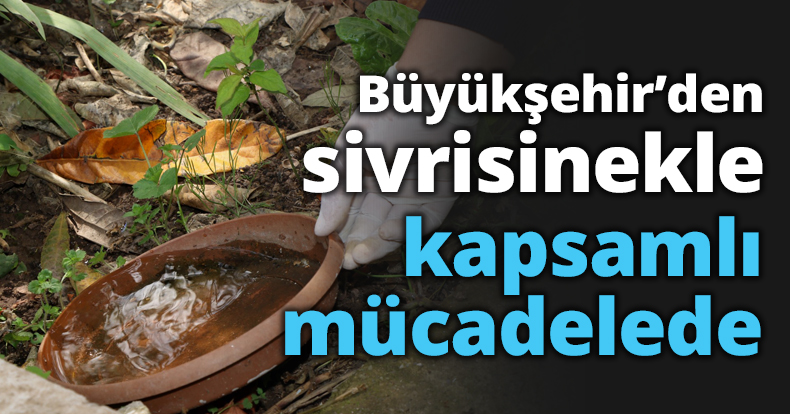 Büyükşehir’den sivrisinekle kapsamlı mücadelede