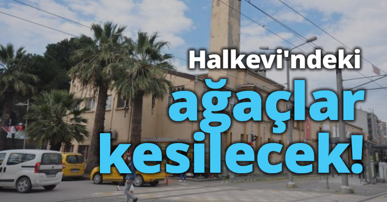 Halkevi'ndeki ağaçlar kesilecek!