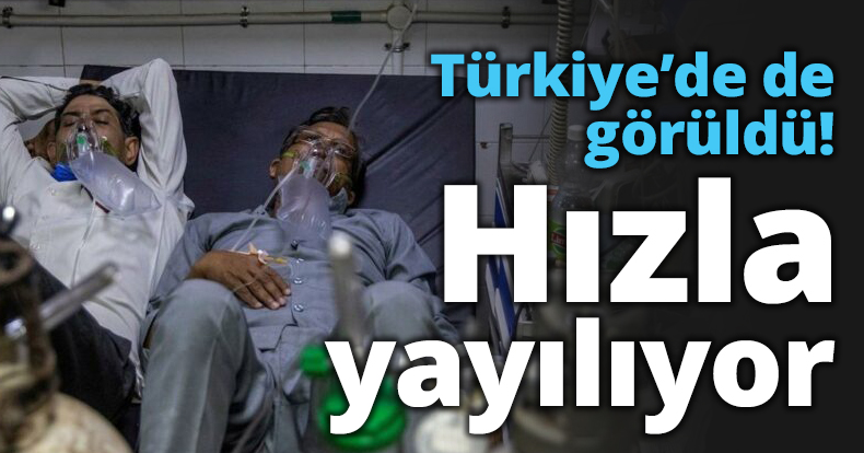 Türkiye’de de görüldü! Hızla yayılıyor