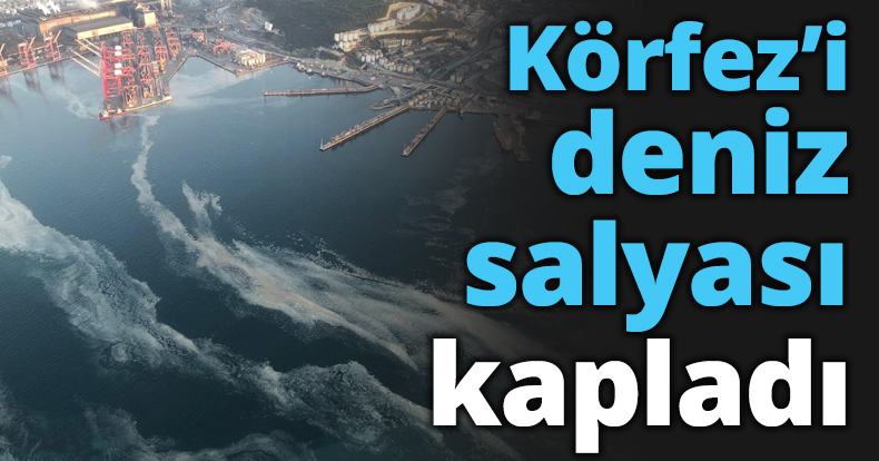 Körfez’i deniz salyası kapladı