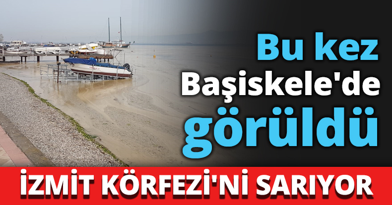 Bu kez Başiskele'de görüldü