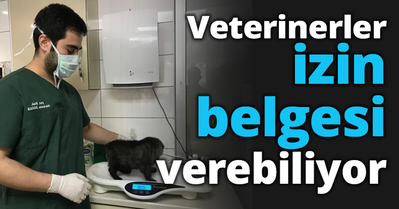 Veterinerler izin belgesi verebiliyor
