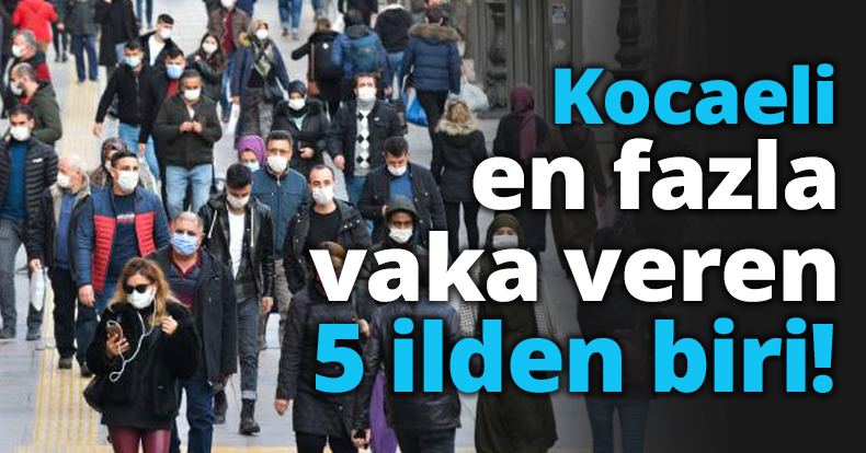 Kocaeli en fazla vaka veren 5 ilden biri!