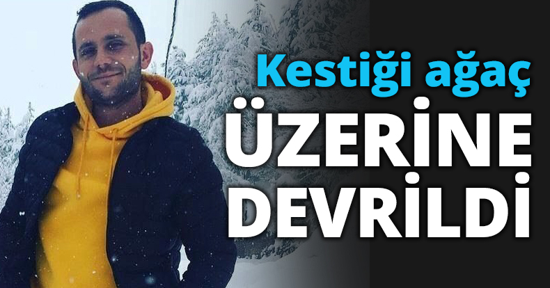 Kestiği ağaç ÜZERİNE DEVRİLDİ