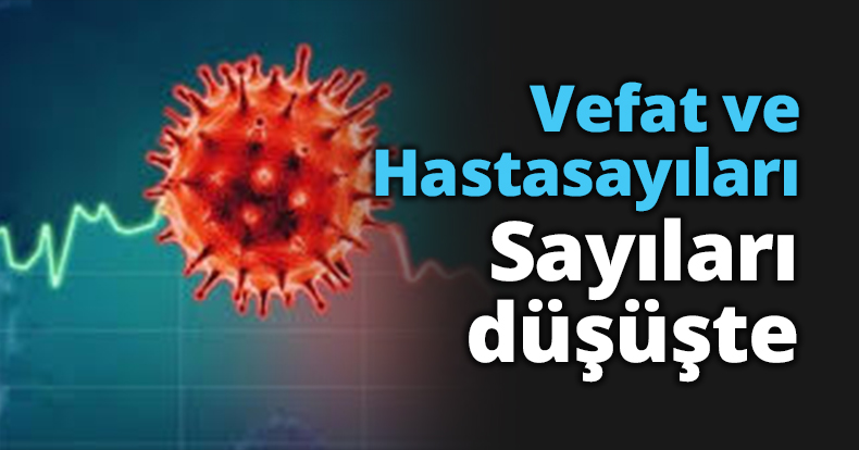 Sevindirici haber Sayılar düşüşte