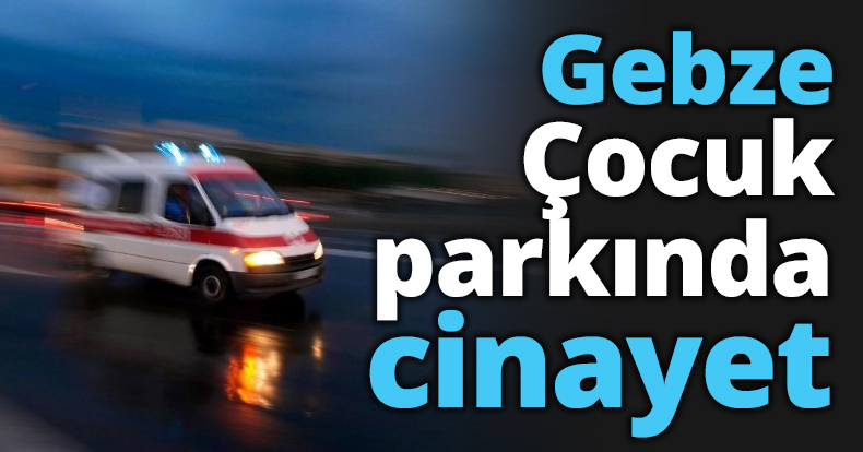 Gebze Çocuk parkında cinayet