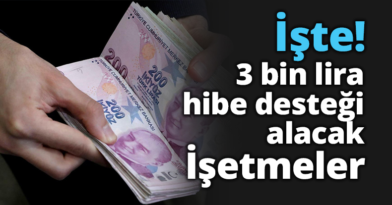 İşte 3 bin lira hibe desteği alacak işletmeler