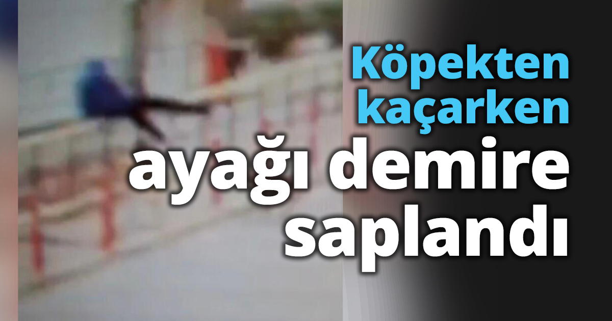Köpekten kaçarken ayağı demire saplandı