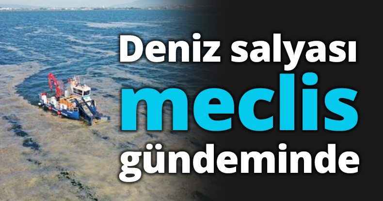Deniz salyası meclis gündeminde