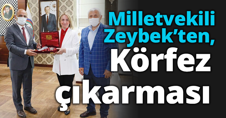 Milletvekili Zeybek’ten,  Körfez çıkarması