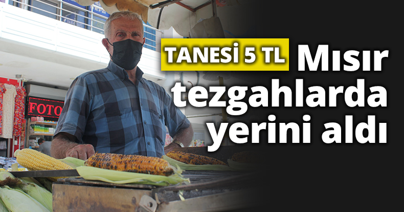 TANESİ 5 TL