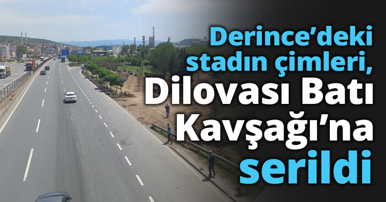 Derince’deki stadın çimleri, Dilovası Batı Kavşağı’na serildi