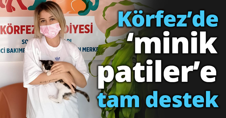 Körfez’de ‘minik patiler’ için tam destek
