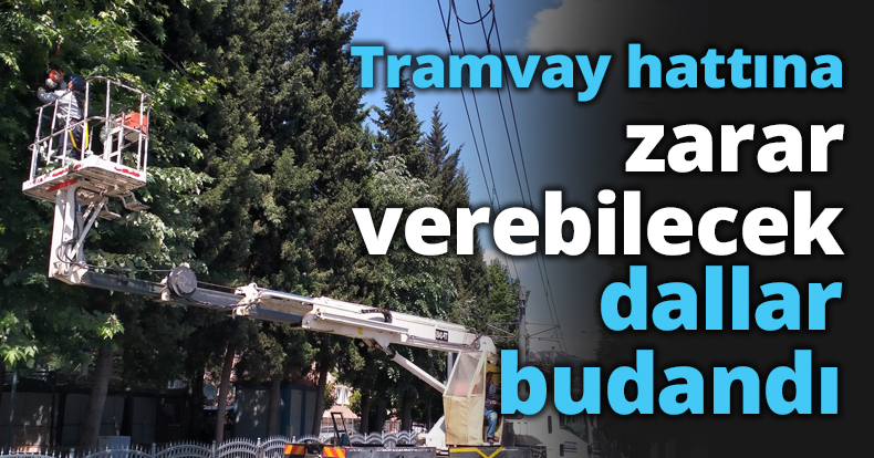 Tramvay hattına zarar verebilecek dallar budandı
