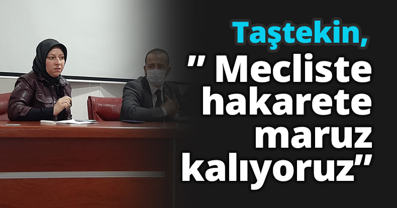 Taştekin” Mecliste hakarete maruz kalıyoruz”