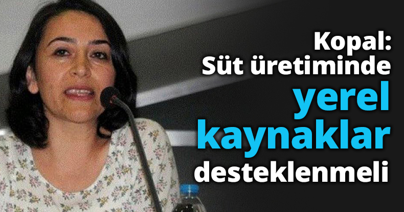 Kopal: Süt üretiminde yerel kaynaklar desteklenmeli