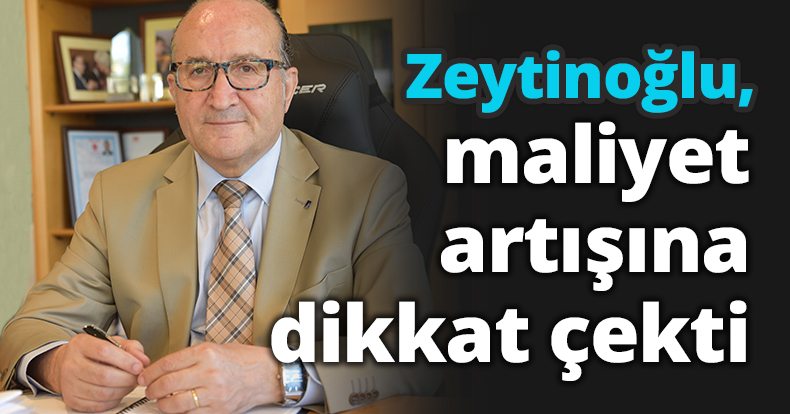 Zeytinoğlu, maliyet artışına dikkat çekti