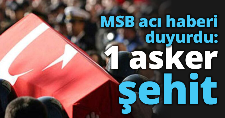 MSB acı haberi duyurdu: 1 asker şehit