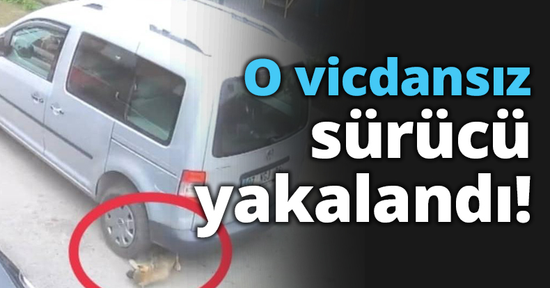 O vicdansız sürücü yakalandı!