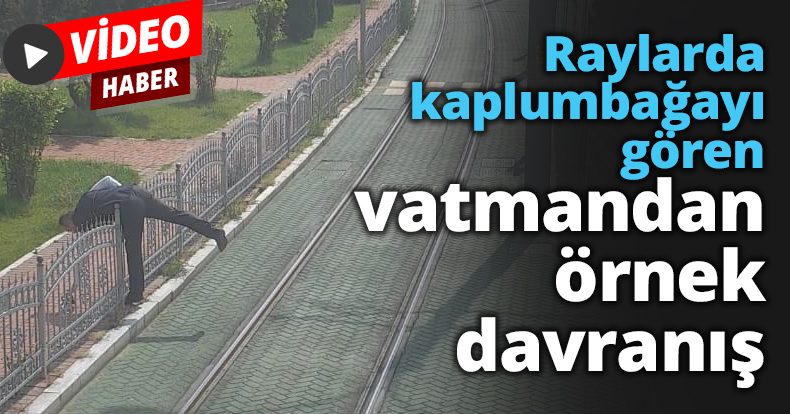 Raylarda kaplumbağayı gören vatmandan örnek davranış
