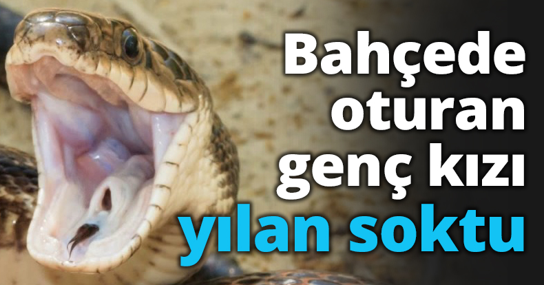 Bahçede oturan genç kızı yılan soktu