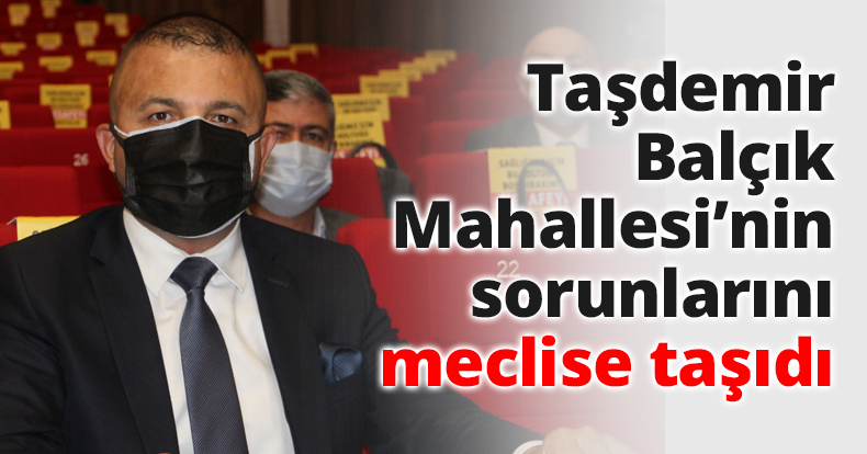 Taşdemir Balçık Mahallesi’nin sorunlarını meclise taşıdı