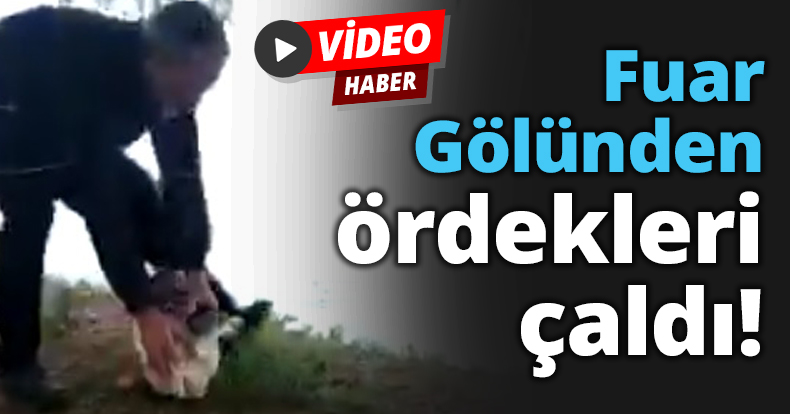 Fuar Gölünden ördekleri çaldı!