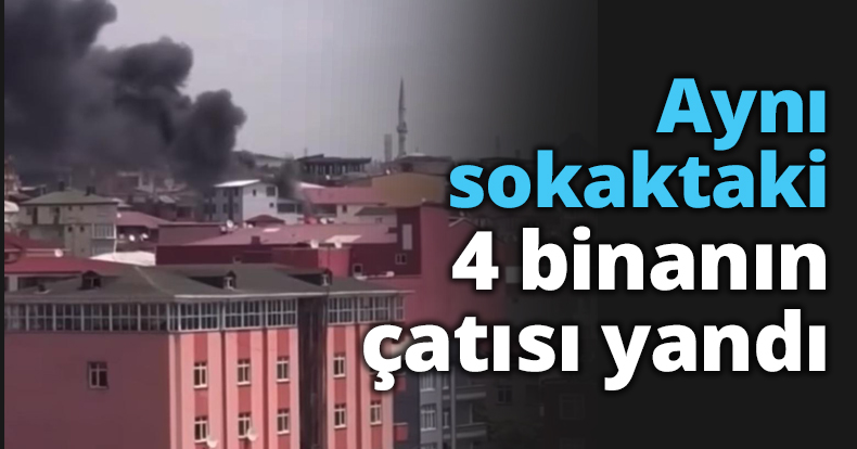 Aynı sokaktaki 4 binanın çatısı yandı