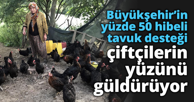 Büyükşehir’in yüzde 50 hibeli tavuk desteği çiftçilerin yüzünü güldürüyor