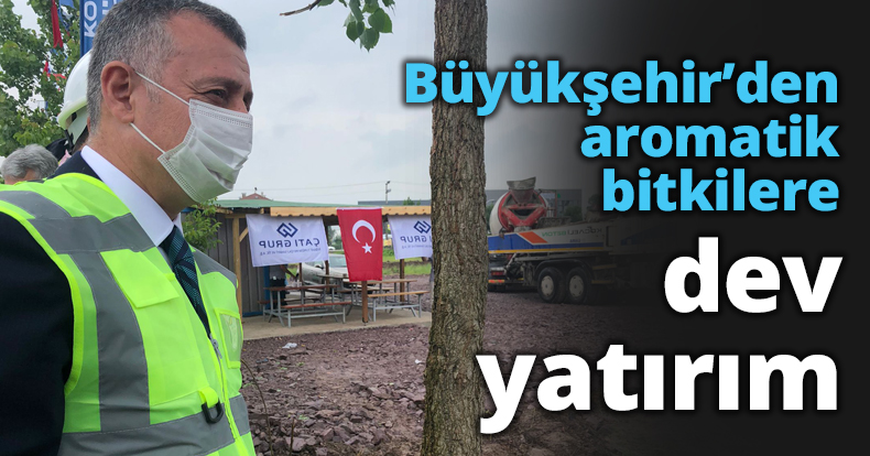 Büyükşehir’den aromatik bitkilere dev yatırım