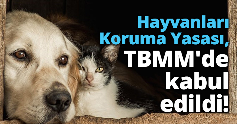 Hayvanları Koruma Yasası, TBMM'de kabul edildi!